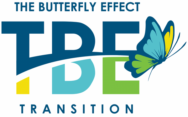 The Butterfly Effect Transitions 